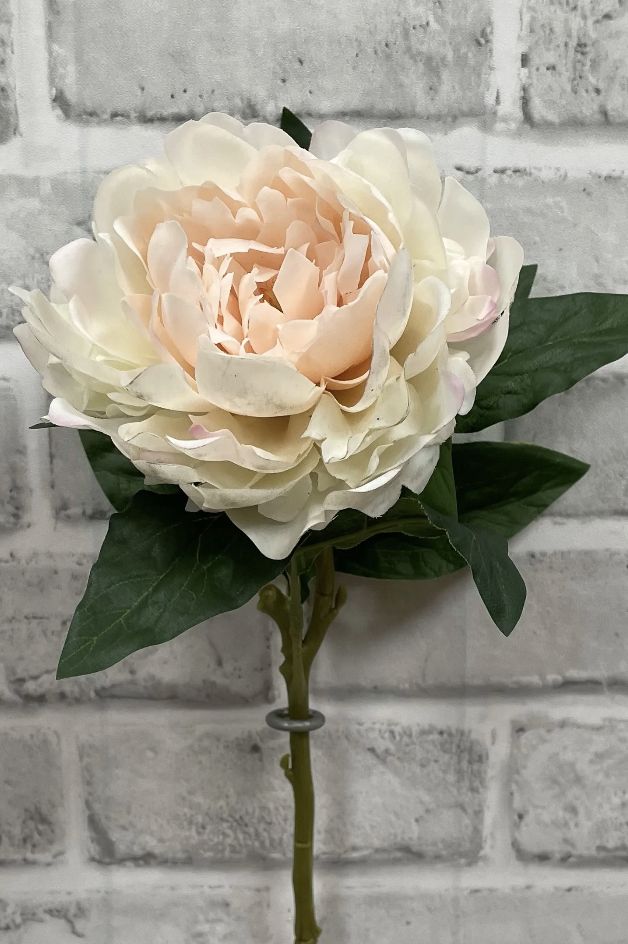 Blush Fresh Touch Peony Stem