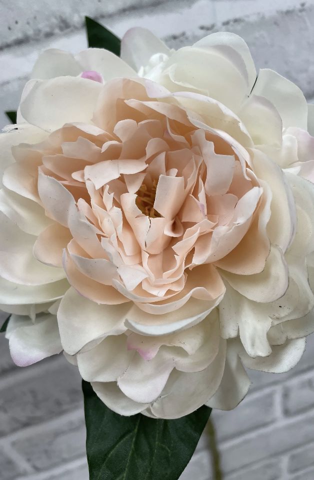 Blush Fresh Touch Peony Stem