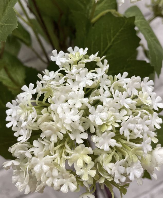 White Snowball Bundle | 25"