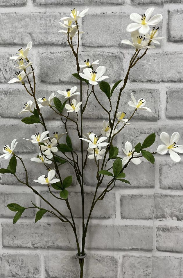 White Plum Flower Stem