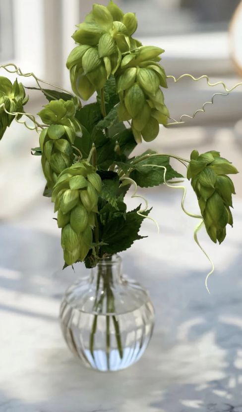 Real Touch Green Hops