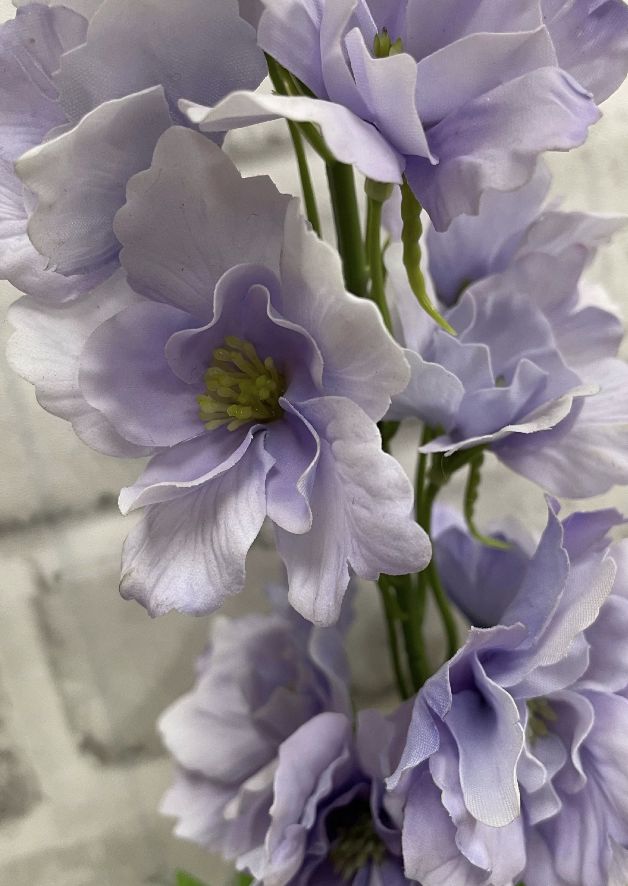 Lavender Fresh Touch Delphinium | 35"