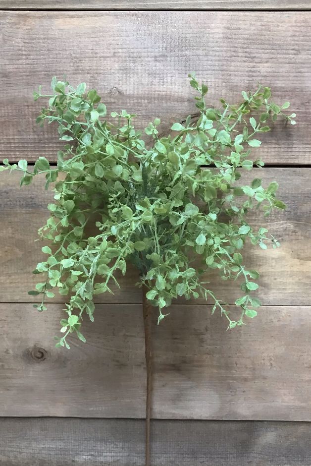 Light Green Baby Tears Stem