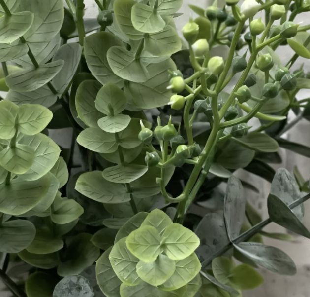 Seeded Eucalyptus Bush | 11"