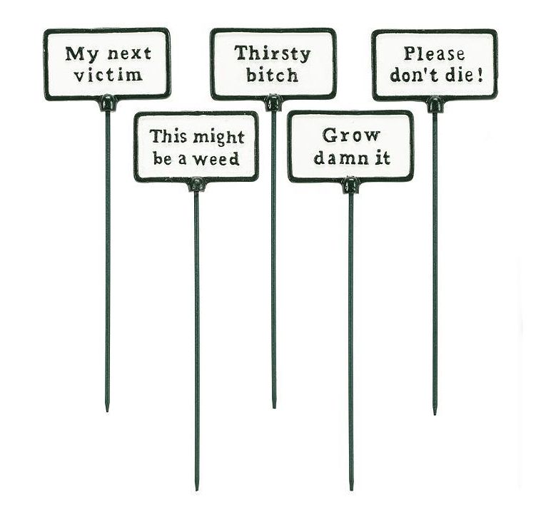 Assorted Plant Signs | Antique White/Green
