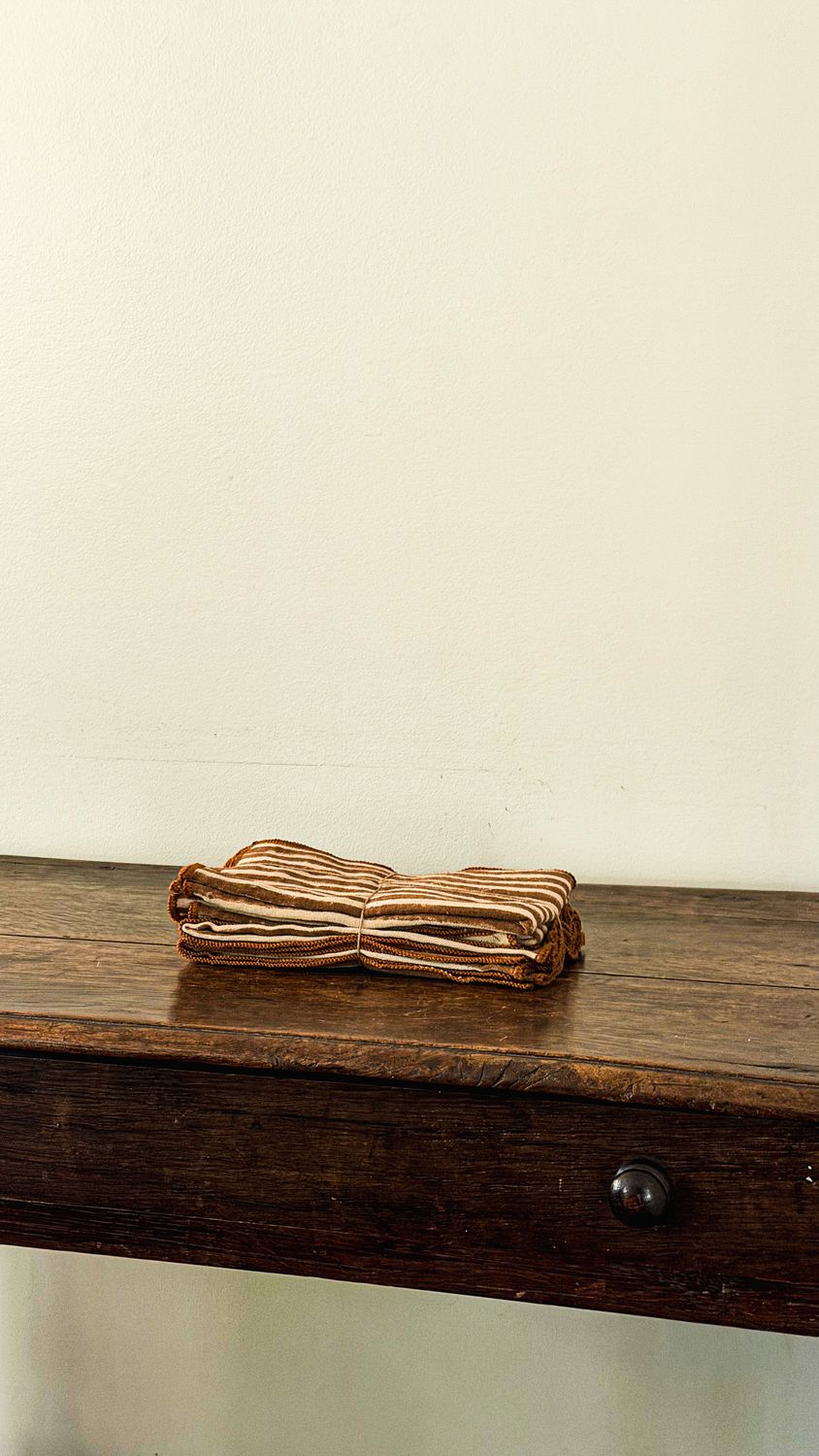Terracotta Stripe Block Print Napkins | S/4
