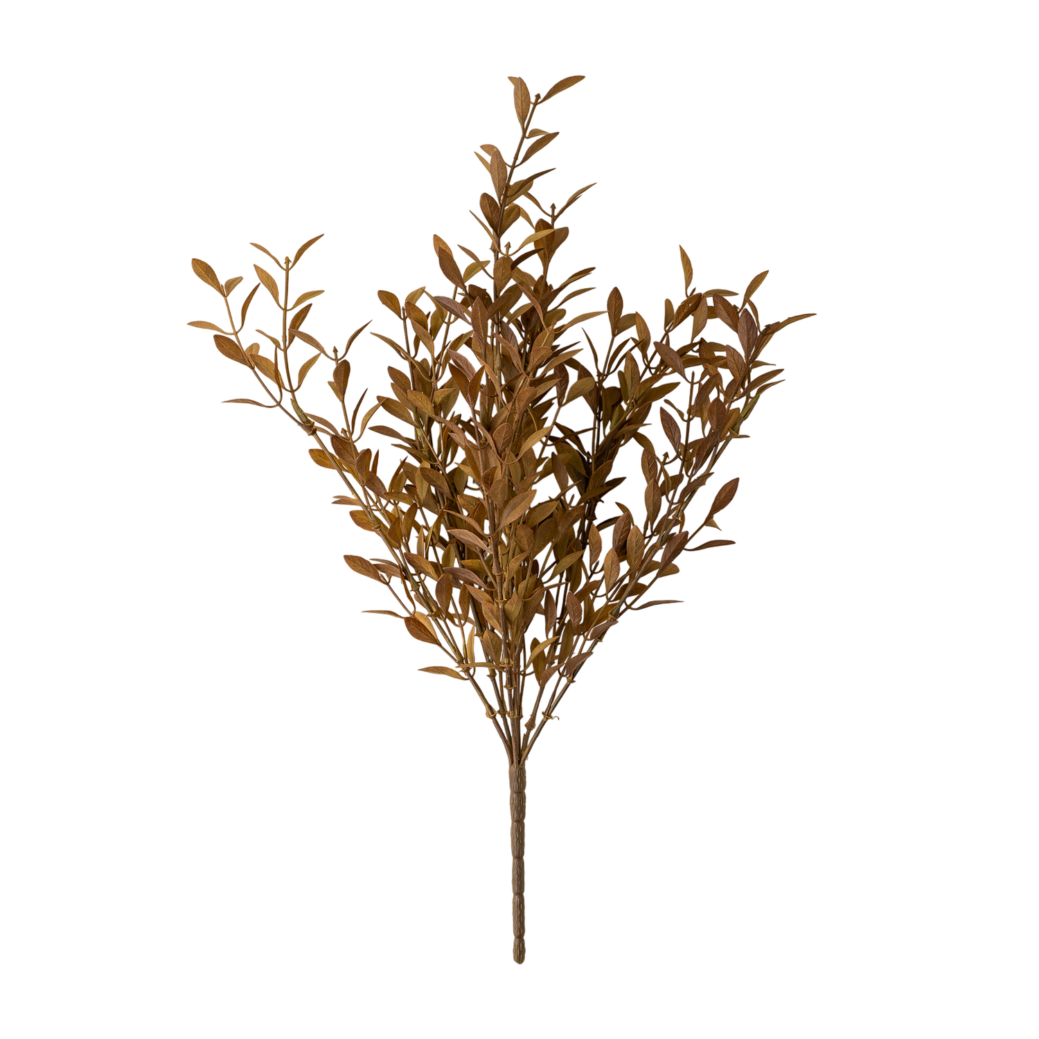Willow Leaf Spray | Harvest
