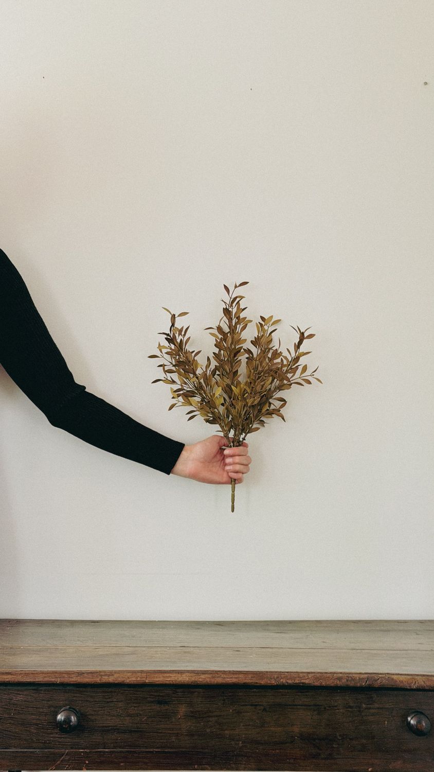 Willow Leaf Spray | Harvest