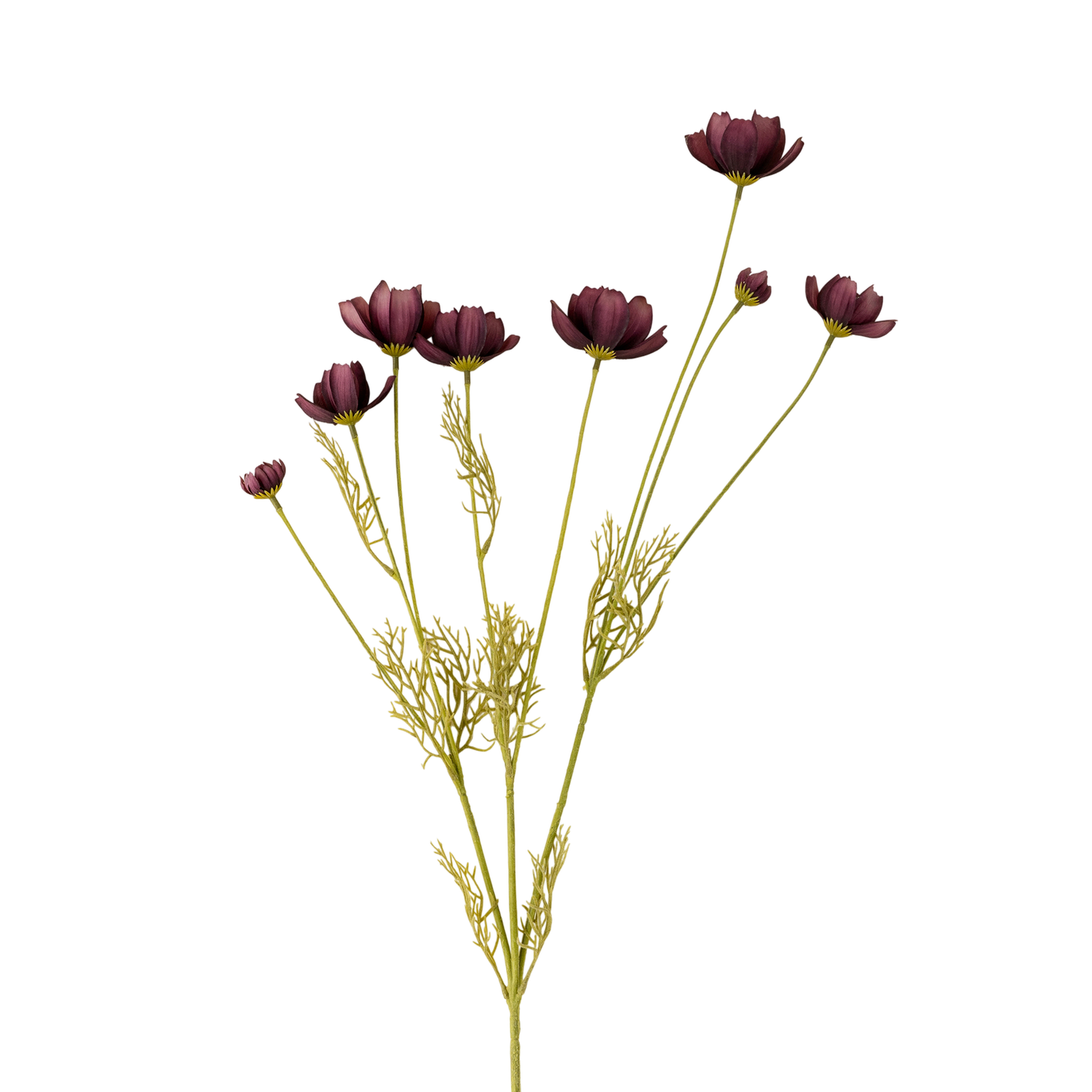 Calliopsis Spray | Deep Purple