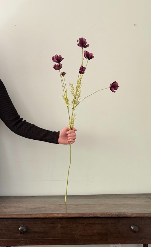 Calliopsis Spray | Deep Purple