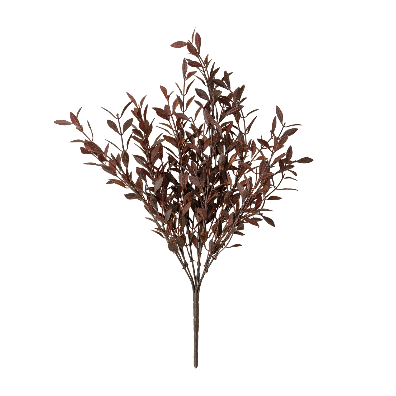 Willow Leaf Spray | Plum