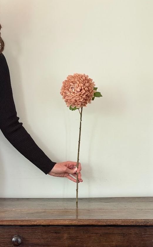 Chrysanthemum Stem | Dusty Pink