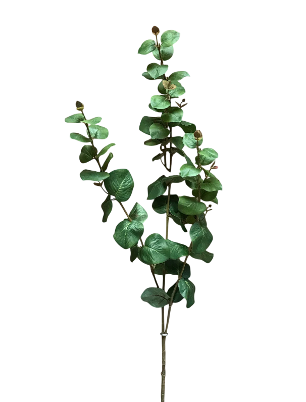Green Eucalyptus Spray | 42.5"