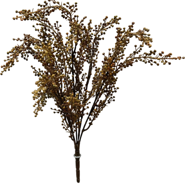 Brown/Orange Pepperberries Bush | 18"