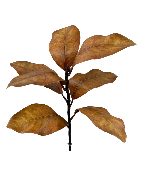 Fall Brown Magnolia Spray | 17"