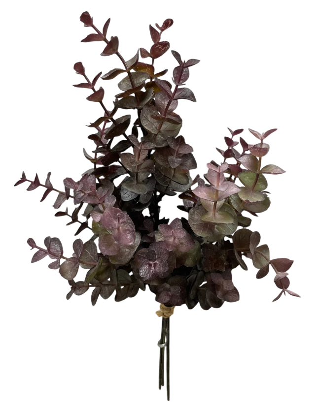 Burgundy Eucalyptus Bundle | 13"