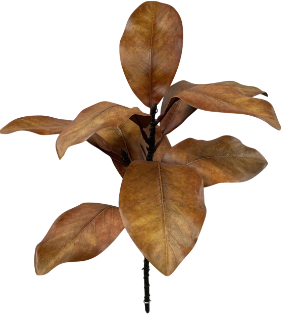Fall Brown Magnolia Leaves Spray | 21.5"