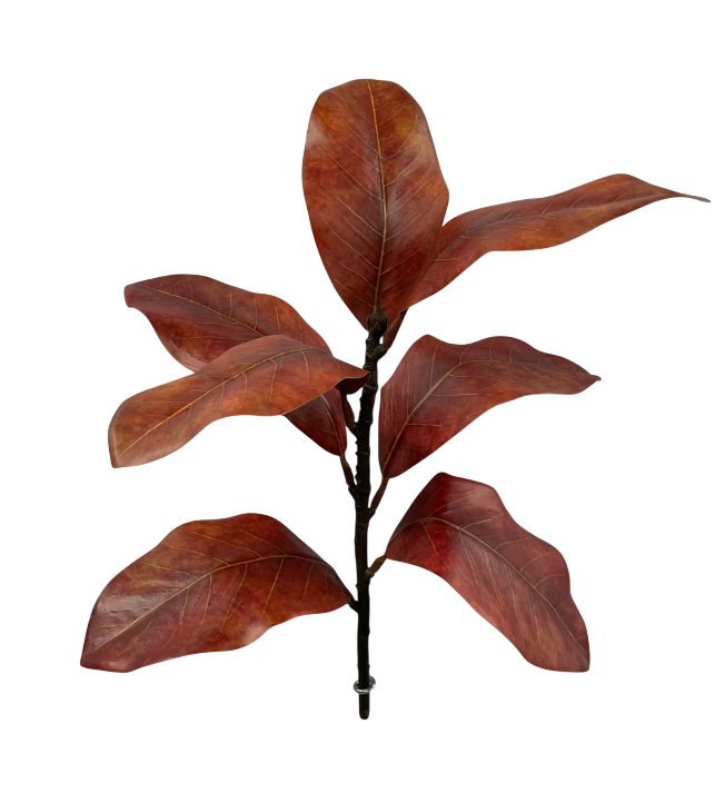 Red Magnolia Spray | 17"