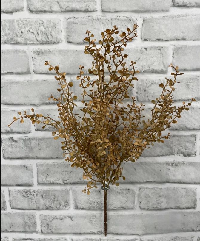 Fall Cream Baby Tears Bush | 20"