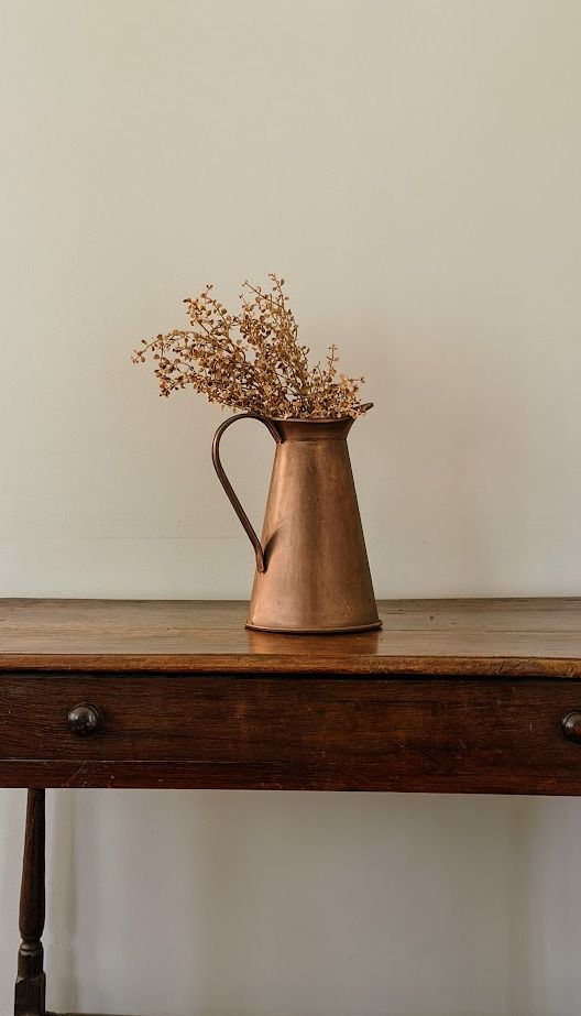 Fall Cream Baby Tears Bush | 20"