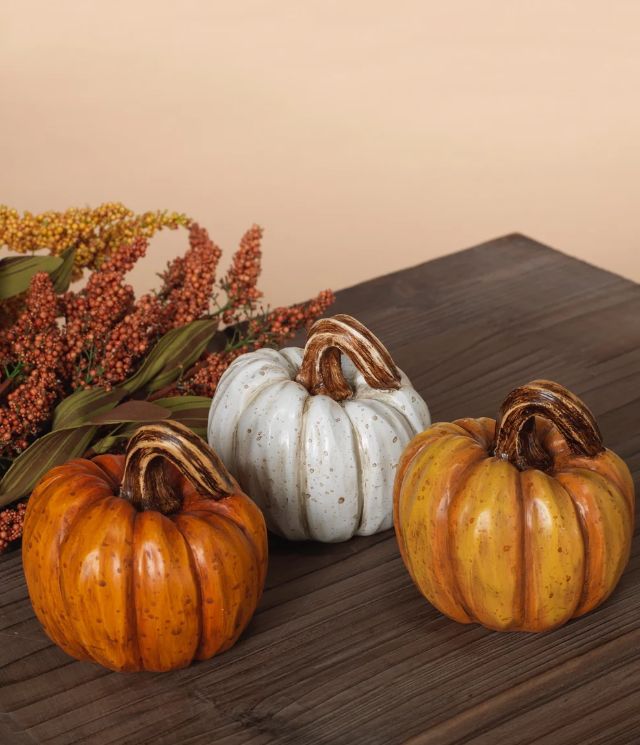 Harvest Pumpkin Assrtd | 3.5"