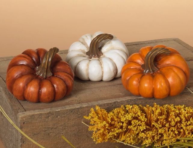 Harvest Pumpkin Assrtd | 3.15"