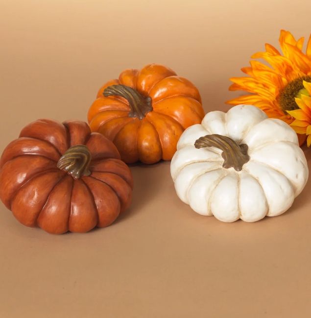 Harvest Pumpkin Assrtd 2 | 3.5"