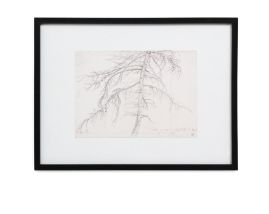 Framed Art | Tree Sketch