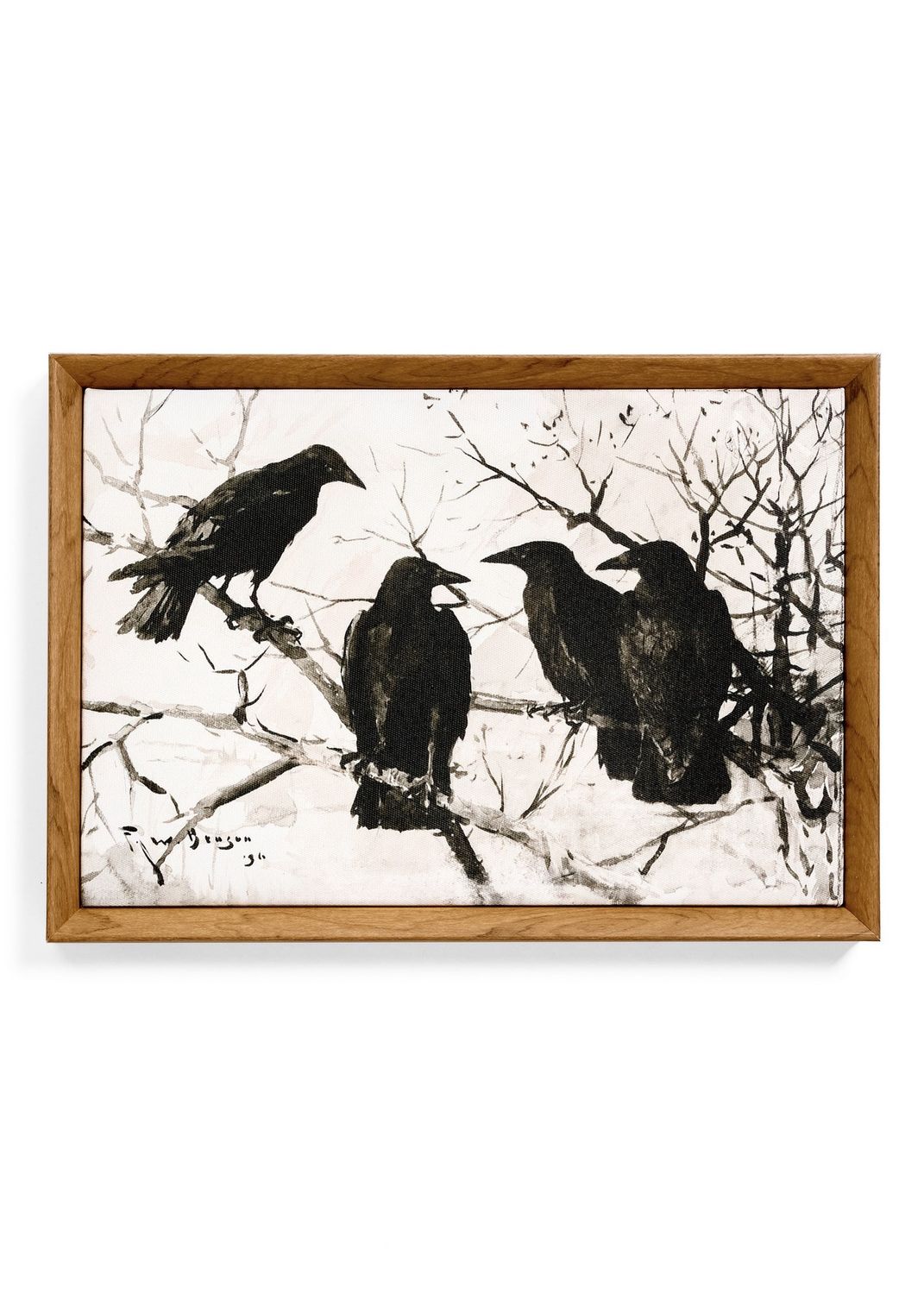 Framed Canvas | Crows