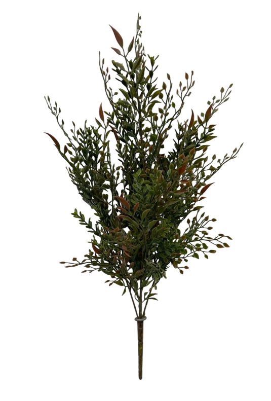 Burgundy Green Smilax Mix bush | 22"