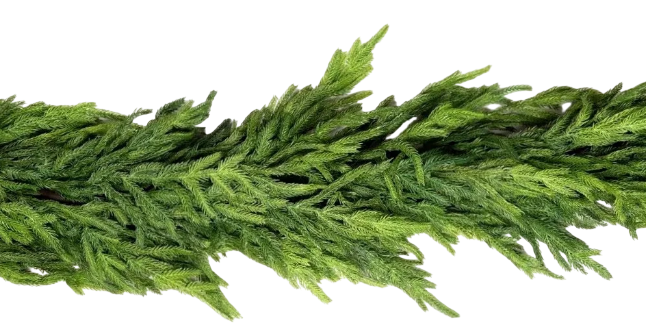 Real Touch Thick Norfolk Pine Garland | 77"