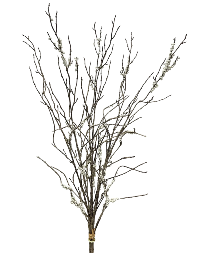 Cream Berry Bundle | 43"
