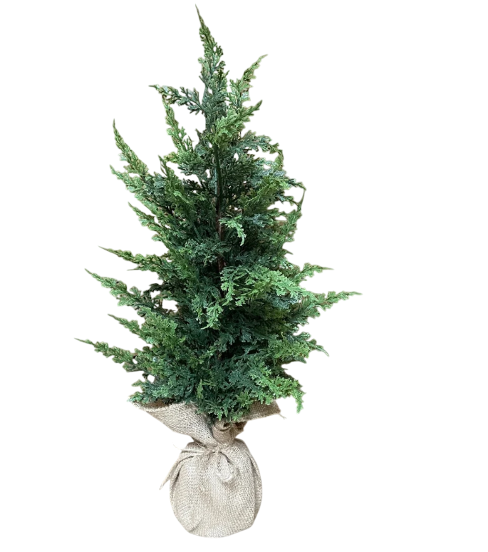 Real Touch Red Cedar Potted in Burlap | 26"