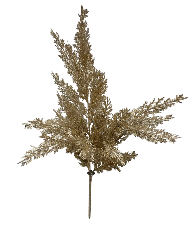 Champagne Cedar Bush | 21"