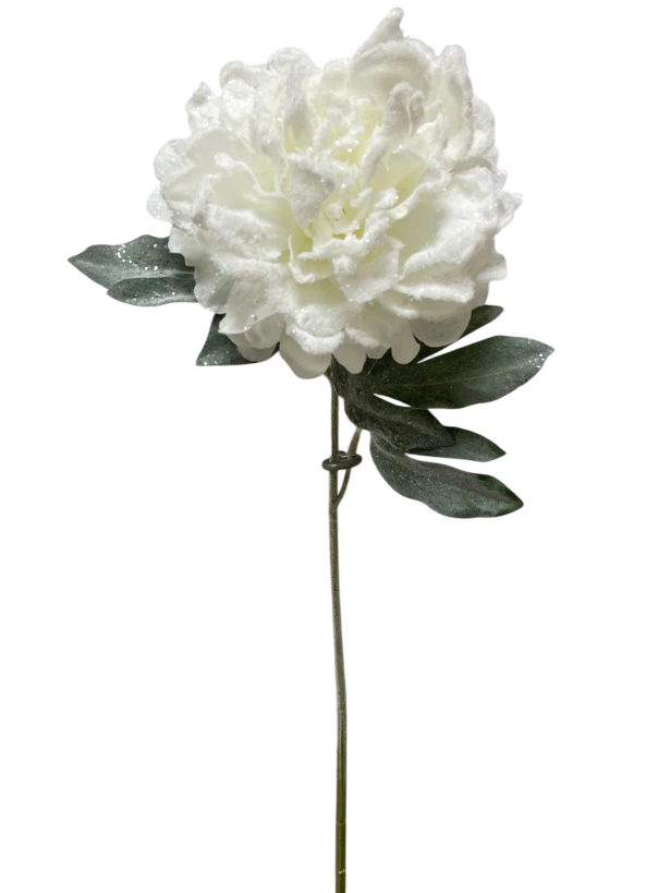 Snowy Peony Stem | 23"