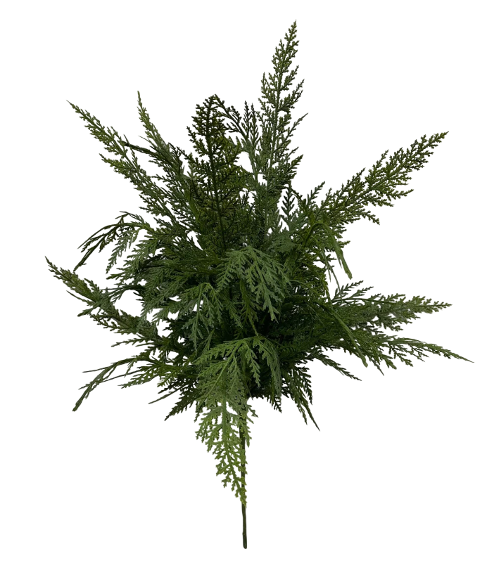 Real Touch Cypress Bush | 24"