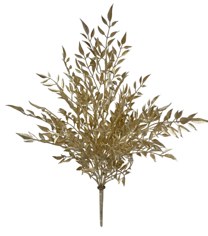 Champagne Smilx Bush | 20"