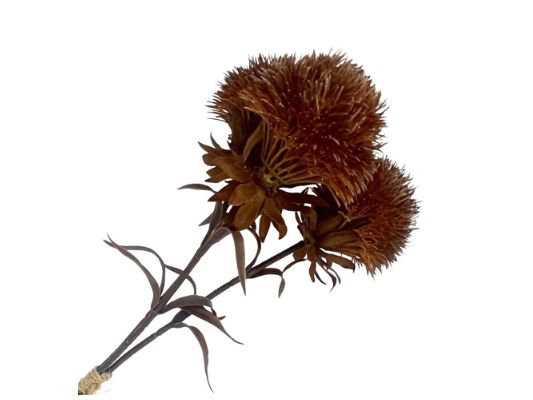 Fall Dianthus Spray | Brown-16"