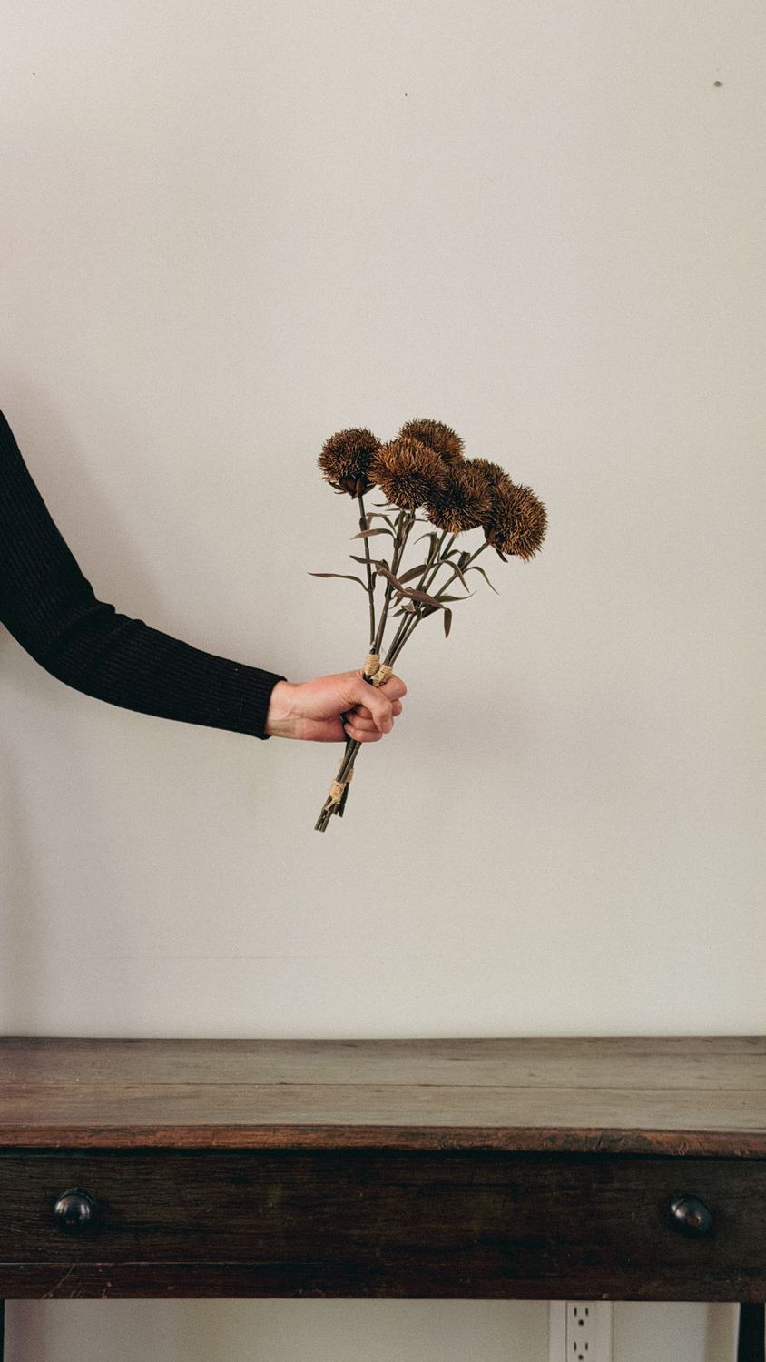 Fall Dianthus Spray | Brown-16"