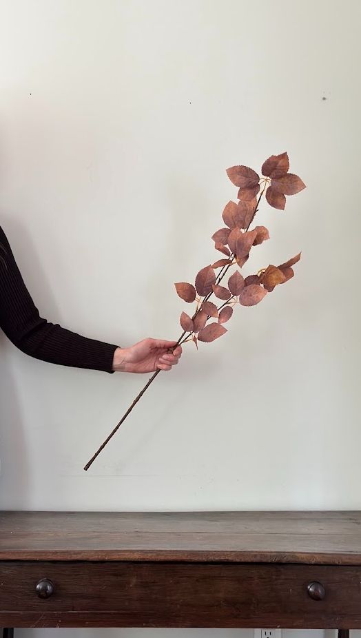 Fall Leaf Eucalyptus Stem | 36"