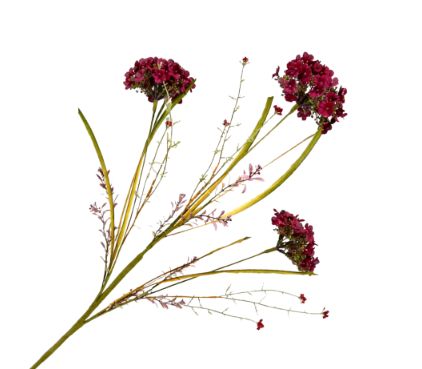 Fall Hydrangea | Burgundy/Sage Green-31"