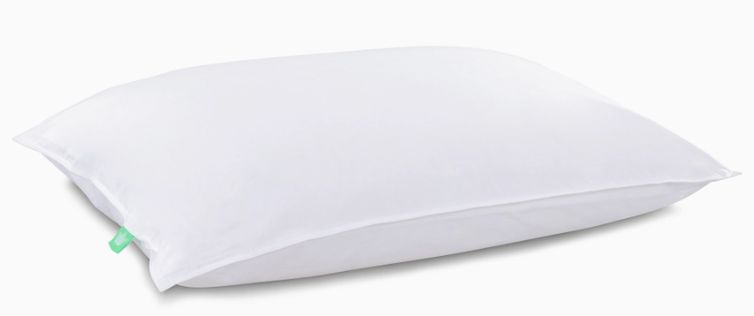Pillow Protector | Queen