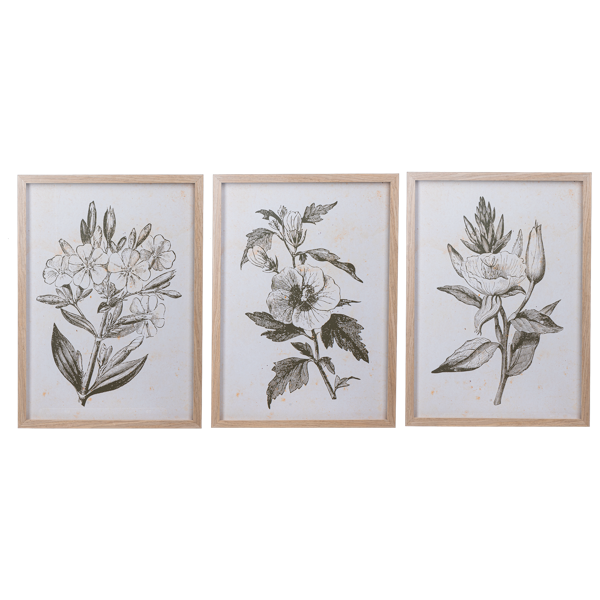 Framed Botanical Wall Art | Set of 3
