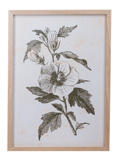 Framed Botanical Wall Art