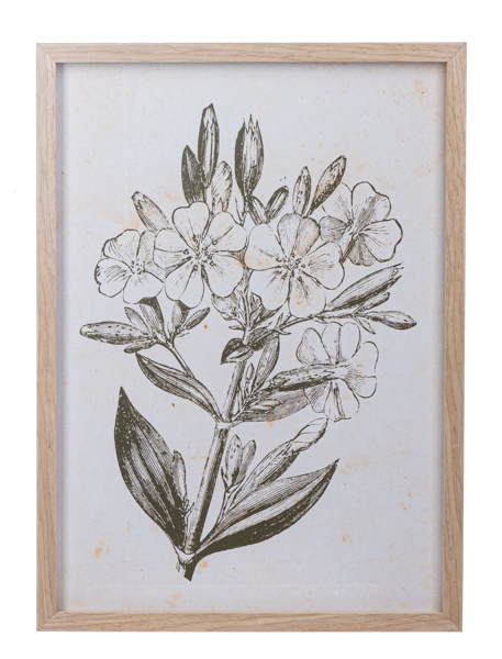 Framed Botanical Wall Art