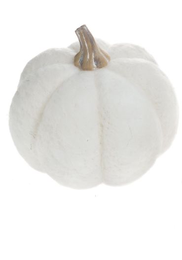 White Wool Pumpkin | L