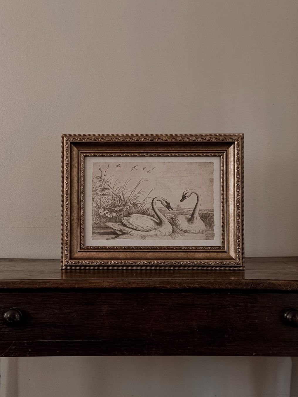 Swan Lake Serenade