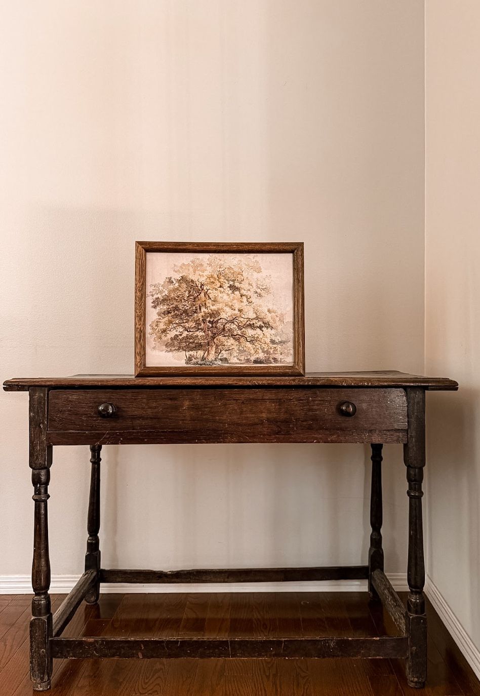 English Oak Study