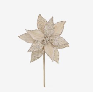 Poinsettia Stem | Champagne