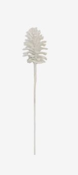 Pinecone Iced Cluster | White